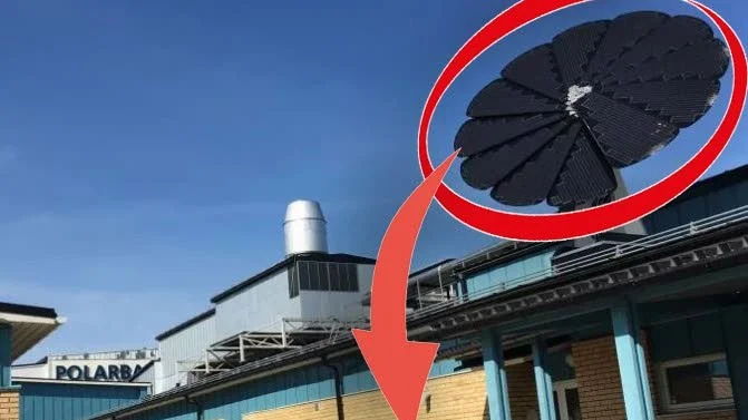 VISSEN BLOMMA. Polarbröds elalstrande "solblomma" lossnade från fästet och rasade ned från taket, mitt framför entrén till brödfabriken.