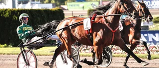 Tuff resa för Selmer I.H i finska storloppet 