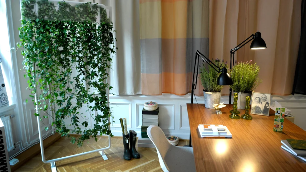 Flera myndigheter spenderar stora pengar på experimentartade projekt med tveksam nytta. 