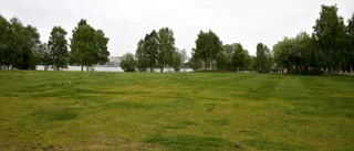 Skydda Norrstrand mot höghus  
