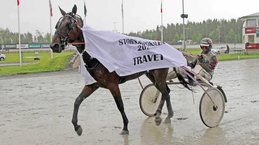 Hector Sisu segerdefilerar efter segern i Storsjöpokalen, V75-1.