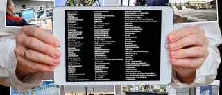 143 olika yrken – här är de nya, gröna jobben i norra Sverige