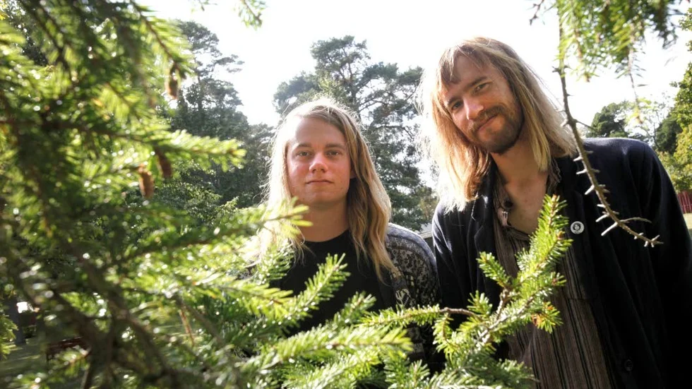 Jakob och Pontus Larsson ville se en mer jämställd festivalscen. Nu har de gått från ord till handling. (Trädet på bilden har inget med artikeln att göra.)