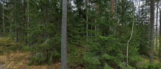 Mindre 70-talshus på 55 kvadratmeter sålt i Björnlunda - priset: 1 400 000 kronor