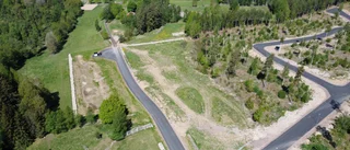 Köpsuget mattas av för villatomter 