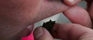 Regeringen talar utan snus i mun