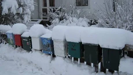 Om förslaget blir verklighet ska Postnord kunna anvisa en ny plats för post och större försändelser inom 200 meter från huset. 