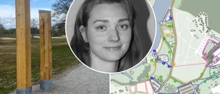 Mystiska stolpar i Vilsta förbryllar – så ska de användas: "De har fått en del uppmärksamhet"