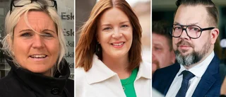 Övriga partier ovetande om hot – S kritiska till att SD lämnade mötet: "De borde ha hjälpt till och stått upp för demokratin"