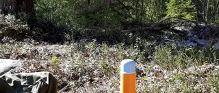 Läsarbilden: Gott med en fika i skogen!