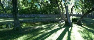 2008 års trädgårdspris till Norra kyrkogården