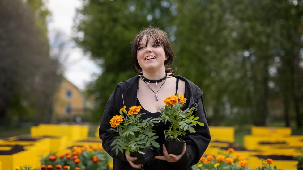 Signe Magnusson Ulin ser fram emot att blomlådan hon gjort i ordning tillsammans med sina kompisar ska flyttas till sommargatorna.