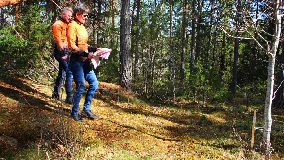 Där är den, kontrollen. Vid träden till höger på bilden. Mats Rosander och Ingrid Svensson kan bocka av checkpoint nummer 88 på kartan.