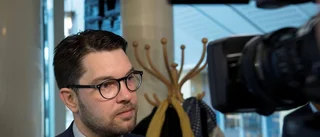 Övergrepp tystas ner inom SD