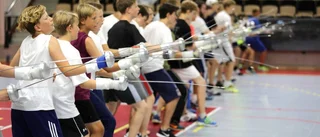 Internationellt läger lockar 100 till Gotland