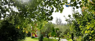 Huset där sommarstugemordet skedde sålt för 5,3 miljoner