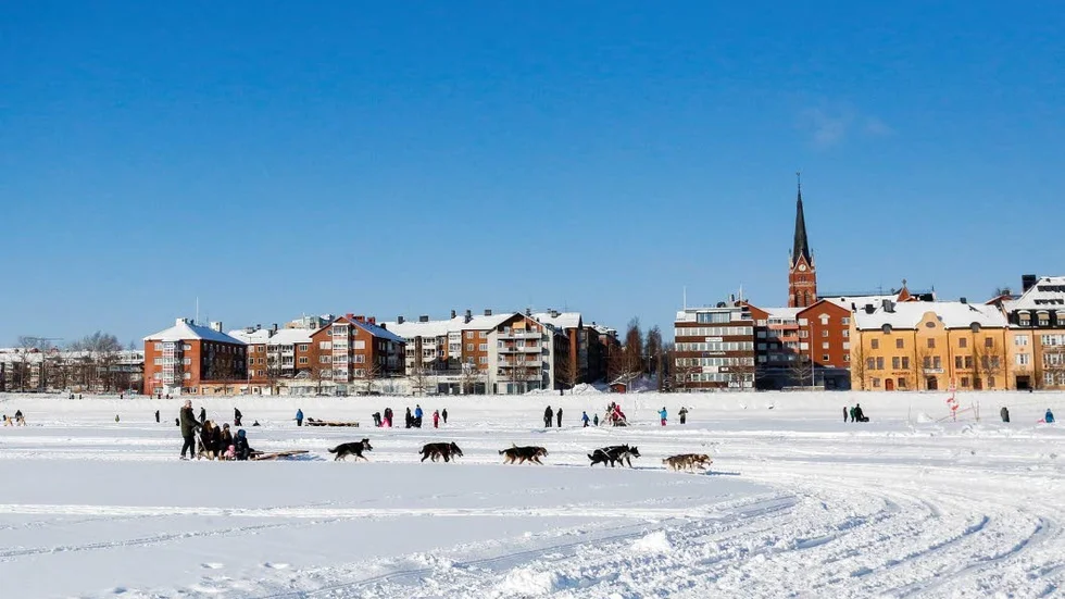 Hundspann är en av de populäraste aktiviteterna för de utländska turisterna som kommer till Luleå. I vinter väntas ett stort antal franska turister landa i Luleå vilket betyder mycket jobb för några av Luleås aktivitetsföretag.