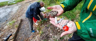 Fler måste ta ansvar för havens framtid