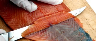 Stöd för ny fisksatsning i Närshamn