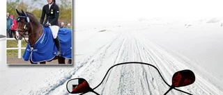 Skoter skrämde häst till flykt