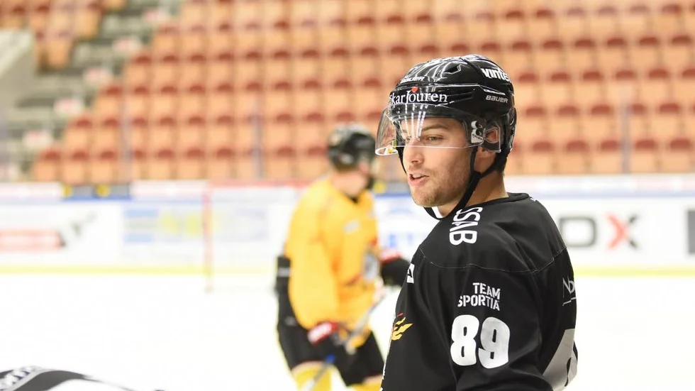 Ryan Johnston, luleå Hockey