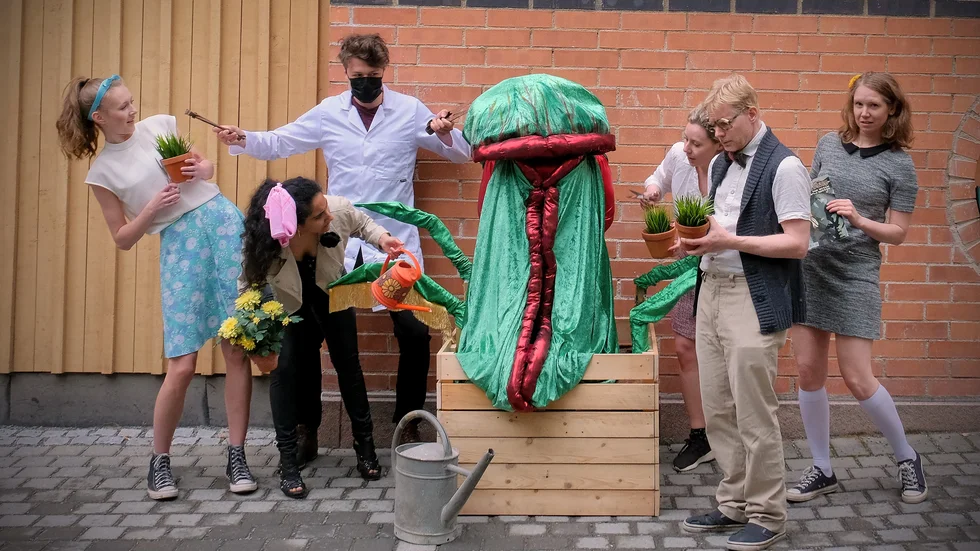 Teater Usch ger musikalen "Little shop of horrors" på stadsbibliotekets innergård. Från vänster Agnes Gullefors, Anahita Moarefi, Elon Kinberger, Magnus Åberg, Lena Bamford, Johanna Ulvbäck Åbom. Växten är hemlig. 
