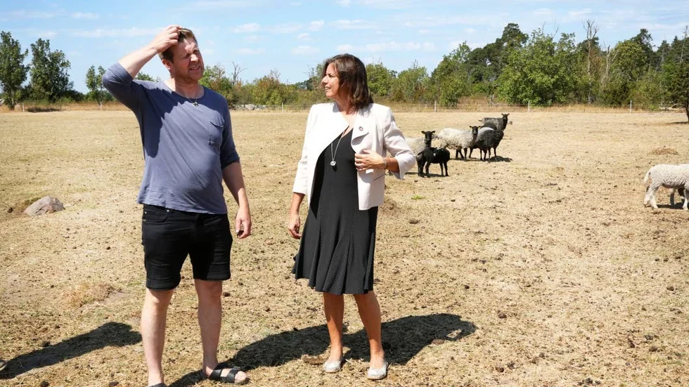 I början av juli besökte miljöminister Isabella Lövin Graute gård och Kjell Nilsson. 7,1 millimeter regn har fallit i socknen sedan dess.