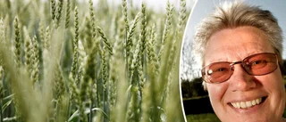 De vill ge plats åt udda besöksmål på Gotland