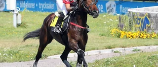 Blixtsnabba Sofia vann storstilat på Solvalla
