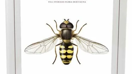 Nyckeln. Precis som tidigare är volymerna stora, tjocka och tunga. Riktiga biblar för alla naturälskare!