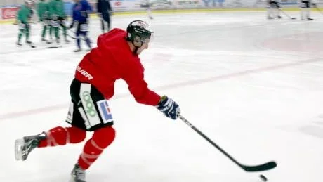 Ishockey Visby Roma kanandensare Kyle Marinari