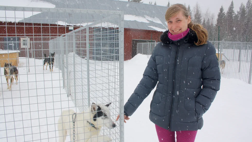 Paws of Björnlund får toppbetyg, tillsammans med Hedlunda Husky.