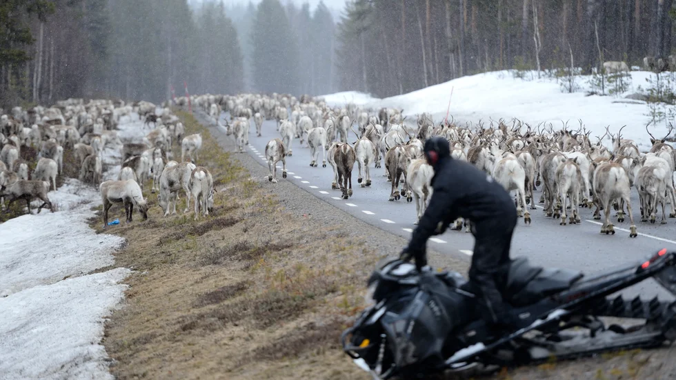 "De stora förlorarna är de renskötande samerna med endast nyttjanderätt till sina egna marker" skriver Lennart Martinsson i Jokkmokk. 