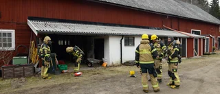 Lamor räddade vid ladugårdsbrand