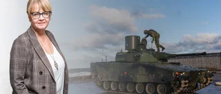 "Med en stabil majoritet för Nato i riksdagen finns ingen anledning att dra ut på ansökan"
