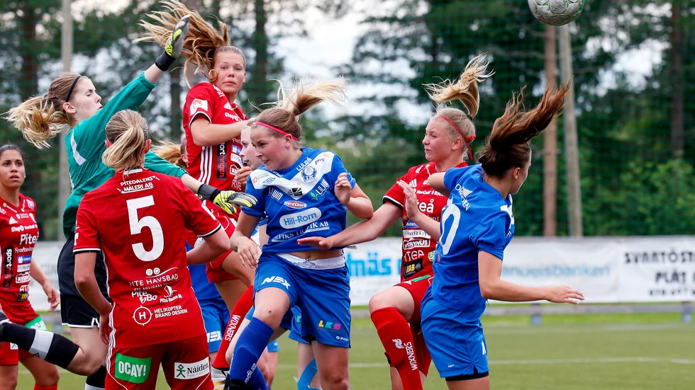 Alviks IK drog sig ur division 1 2018.