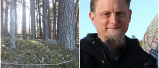 Vill lyfta Hebys fornlämningar: "Kan ge ett uppsving"