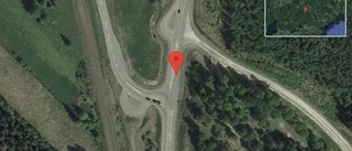 Rådjur på vägen på väg 55