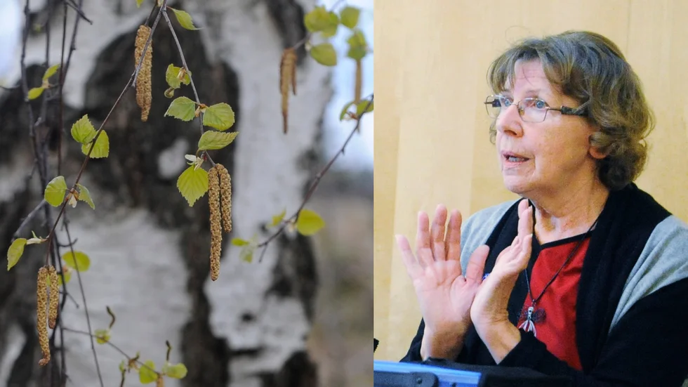 Clary Ruisla, som är pollenallergiker själv, är engagerad i Astma- och allergiförbundet. 