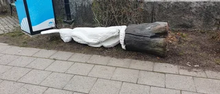 Efter vandaliseringen: Konsverket tillbaka i höst