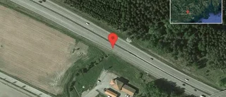 Rådjur på vägen på E4