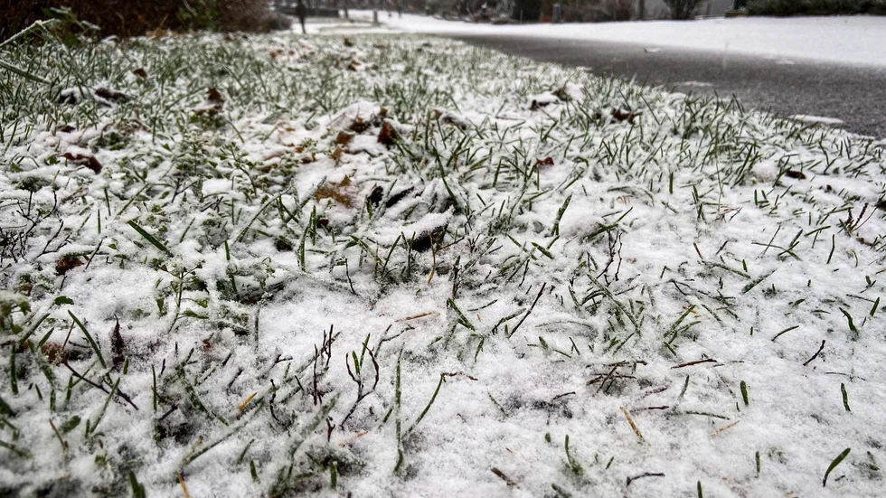 Det kan dra in snöbyar från havet som kan nå så långt in i landet som till Uppsala.