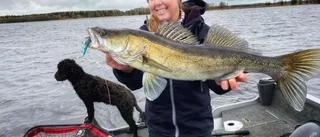 "Gösdrottningens" nya app lockar fiskare i hela Norden