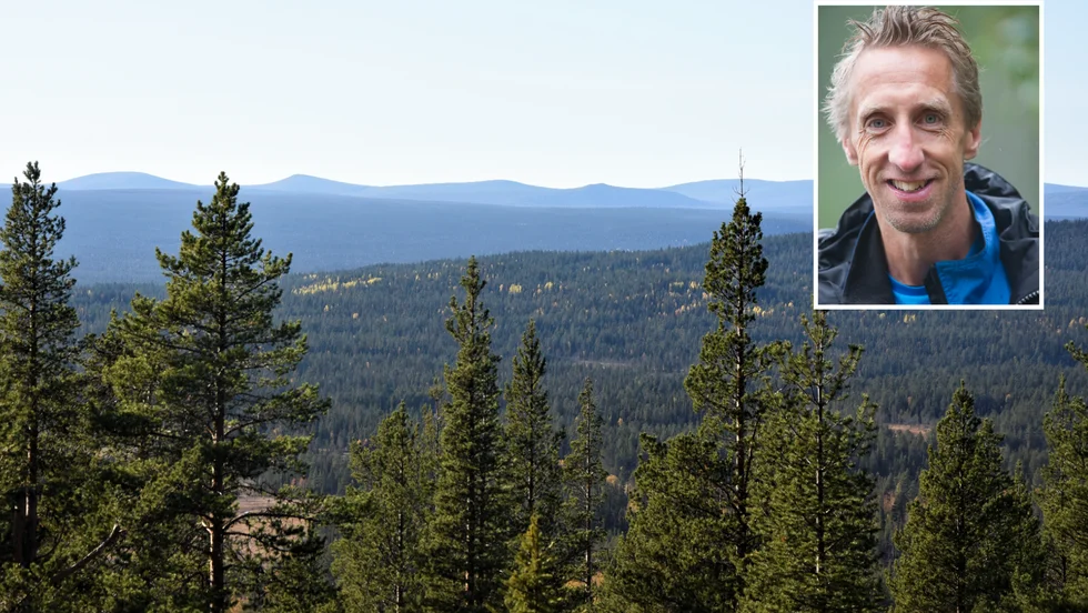 "Jag tror inte på förbud, men däremot skulle Länsstyrelsen kunna ringa in områden där det är troligt att det kan finnas icke-registrerade fornlämningar. Det skulle kunna bli en varningssignal för skogsbruket att öka vaksamheten", säger Staffan Norin, regionchef på Skogsstyrelsen.