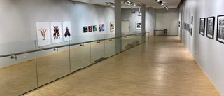 Åtta fotografer ställer ut när Piteå firar 400 år