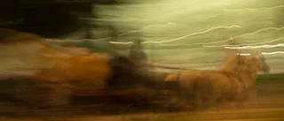 Vinnarna i Gotlands Fotoklubbs tävling