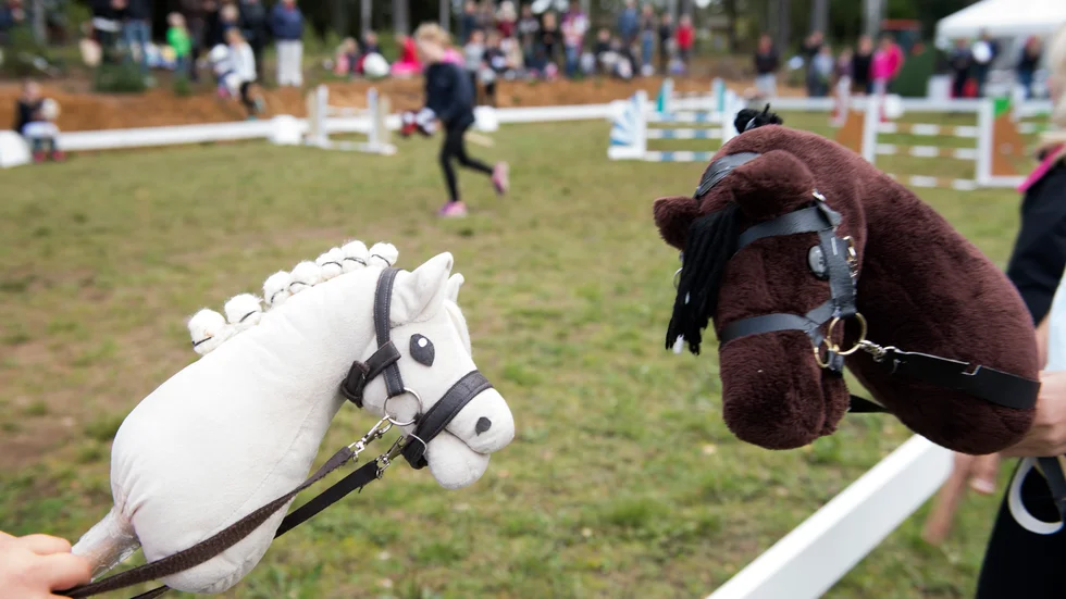 Det högsta en person någonsin hoppat med käpphäst är 141 cm. Rekordet för hoppning med häst ligger på 247 cm.