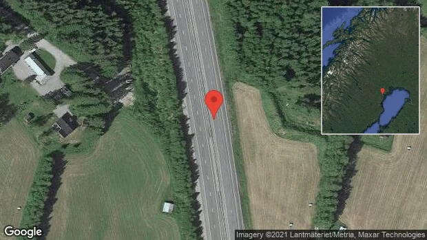 Vilt på vägen på E4