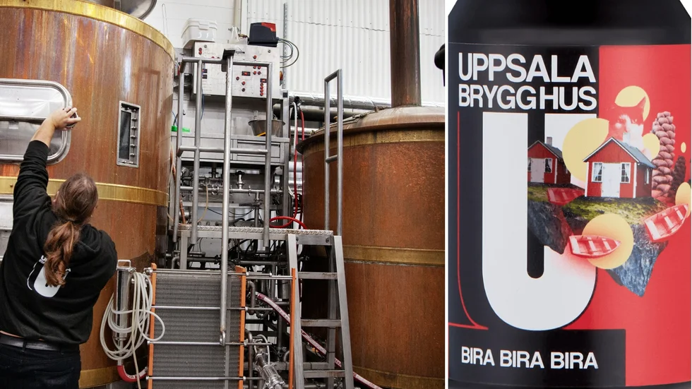 Uppsala brygghus kommer att börja släppa sin öl Bira bira bira i samband med fotbolls-EM på den polska marknaden genom livsmedelskedjan Auchan. 