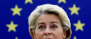 EU-bas kritisk till hantering av ubåtsaffär
